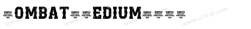 Combat Medium字体转换